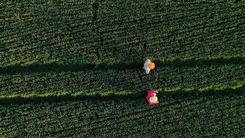 Wydajność pompy głębinowej