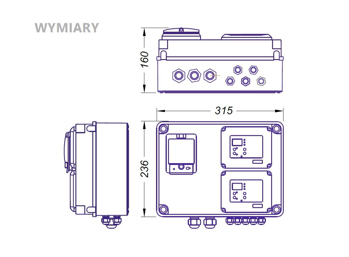 Elektroniczny panel do sterowania i ochrony pomp Coelbo PANELMATIC